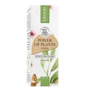 Lirene Power of Plants vyživujúce olejové sérum Mandľa 30ml