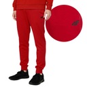 НОВЫЕ МУЖСКИЕ СПОРТИВНЫЕ БРЮКИ 4F SPMD350-62 размер XL