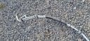 CHRYSLER PACIFICA 2022PRZEWODY TUBES RUKA EAU 3.6 HYBRIDE 52080474ACphoto 13