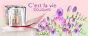 JFenzi Cest La Vie Bouquet PERFUMY /est bell flor Kod producenta 5902539680065