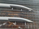 BARRES DE TOIT TOITS ENSEMBLE GAUCHE DROIT SEAT ARONA 6F9860025G 6F9860026Gphoto 9