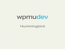 Плагин кэширования Hummingbird WPMU DEV