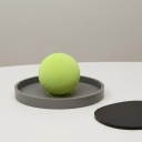 Pickleball
