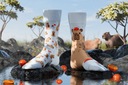 Farebné ponožky MANYMORNINGS Capybara 35-38 EAN (GTIN) 5904335704068