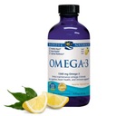 Nordic Naturals Kwasy Omega-3 1560 mg 237ml