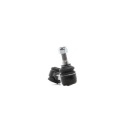 BRAS DE SUSPENSION SUSPENSIONS ROUES RIDEX 273C0050 ARRIÈRE LEWO VERS AUDI 100 BERLINE A6 AVANTphoto 15