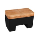 ИНТЕЛЛЕКТУАЛЬНАЯ МАСЛЕНКА, ЧЕРНАЯ ВОДА