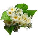 Сливочный букет ромашек для вазы