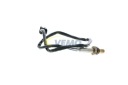 SONDE LAMBDA ATOS/SORENTO/photo 16
