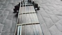 ESP LTD H-1001STBLK Делюкс