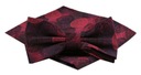 Мужской галстук-бабочка с нагрудным платком Alties - темно-красный