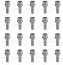 20 винтов с конусом 14x1,50 D35 K17 ELLIS Италия