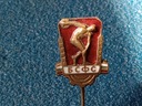 СПОРТИВНЫЙ ЗНАК