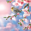 САЛФЕТКИ DAISY BIRD ROBBIN 33X33 20шт SDWI 006701