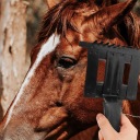 Догляд Та Косметика Щітка 2 Szt
