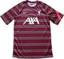 Мужская футболка NIKE LIVERPOOL FC, размер S