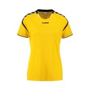 спортивная футболка Hummel Authentic Charge L