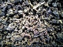 TEA Planet - Herbata Oolong Tie Guan Yin - 100 g.