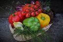 Florovit płynny 1kg do pomidorów i papryki Kod producenta 5900498019261