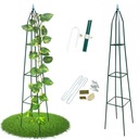 PERGOLA OGRODOWA TARASOWA METALOWA PODPORA PNĄCZY WINOGRON PIRAMIDA 200 CM