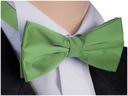 Мужской галстук-бабочка к рубашке Зеленый mug35