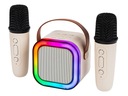 PRENOSNÝ KARAOKE REPRODUKTOR RGB 2 MIKROFÓNY USB SD MINI JACK BLUETOOTH Certifikáty, posudky, schválenia CE