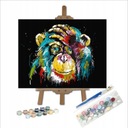 Obraz MALOWANIE PO NUMERACH 40x50 Małpa BEZ RAMY