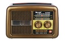 Golon RX-BT3600S FM-радио с питанием от сети и аккумулятором, КОРИЧНЕВЫЙ
