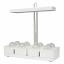 OSRAM LEDVANCE Indoor Garden Kit для выращивания растений 450 мм 4058075576131