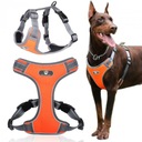 Postroj vychádzkový tréning pre psa oranžový XL