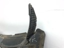 PLASTYK ESSUIE-GLACES AVANT KIA SPORTAGE (QL) 86151F1900 1.6L GASOLINEphoto 7