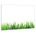 Панель из закаленного стекла 90х70 Зеленая трава + КЛЕЙ