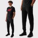 4F МУЖСКИЕ СПОРТИВНЫЕ БРЮКИ, ДЖОГГЕРЫ, СПОРТИВНЫЕ БРЮКИ, ВЛ. ВЛ.24
