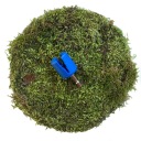 Бита для намотки струн Music Nomad MN220 Grip