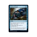 MTG Мистический спор (U)