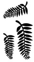 Прочная временная наклейка для татуировки с листьями папоротника, ветками M41