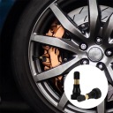 2 ШТУКИ METALOWYCH TRZPIENI КЛАПАНІВ BEZDETKOWYCH DO CIEZAROWEK, SZCZELNE, LATWE ПРОКАЧКА I SPUST ПОВІТРЯ  фото 14