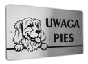 Tabliczka INOX - UWAGA PIES - Golden Retriever