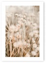 Постер Бохо трава бежевый А1 59,4х84,1 см #20D