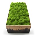 Финский мох 500г сетка, светло-зеленый