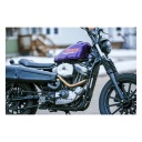КРИШКА ФІЛЬТРА ПОВІТРЯ DO S&S STEALTH, ХРОМ NR: 588915  фото 4