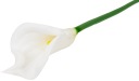 КАЛЛА КАЛЛА ПЕНА, длина 67 см, ЦВЕТОЧНАЯ ВЕТКА