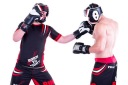 ТРЕНИРОВОЧНЫЕ БОКСЕРСКИЕ ПЕРЧАТКИ CHAMPION RING, 10 УНЦИЙ