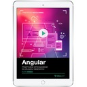 Угловой. Видеокурс. Практическое введение в