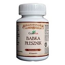 Plantago Psyllium  vláknina Gorvita 60 kapsúl