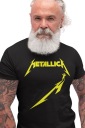 Футболка METALLICA M72 SEASONS Футболка 4XL