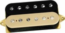 DP 155BC Зебра Tone Zone