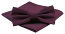 Мужской галстук-бабочка с нагрудным платком Alties - темно-красный, мелкий узор