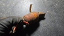 WSK ROMET SHL IZ BMW DKW REEL IGNITION BIG ORIGINAL  photo 10