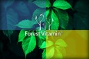 Вітамінно-Мінеральні Препарати Forest Vitamin 500G